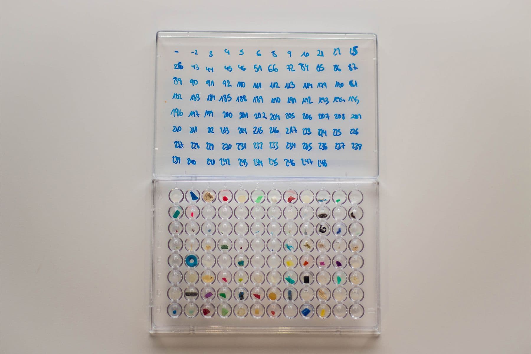 Surf Simply technical surf coaching resort, Guiones, Nosara, Costa Rica