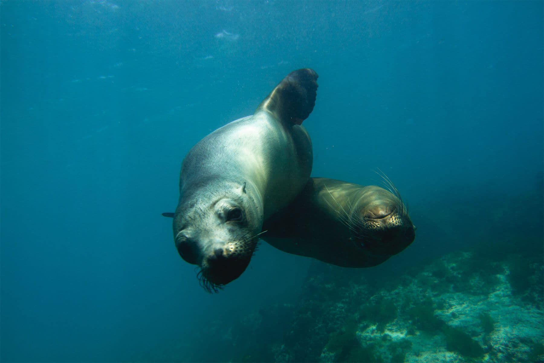 Surf Simply technical surf coaching resort, Guiones, Nosara, Costa Rica