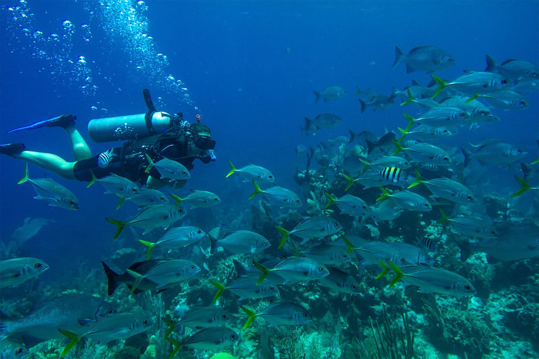 Surf Simply technical surf coaching resort, Guiones, Nosara, Costa Rica