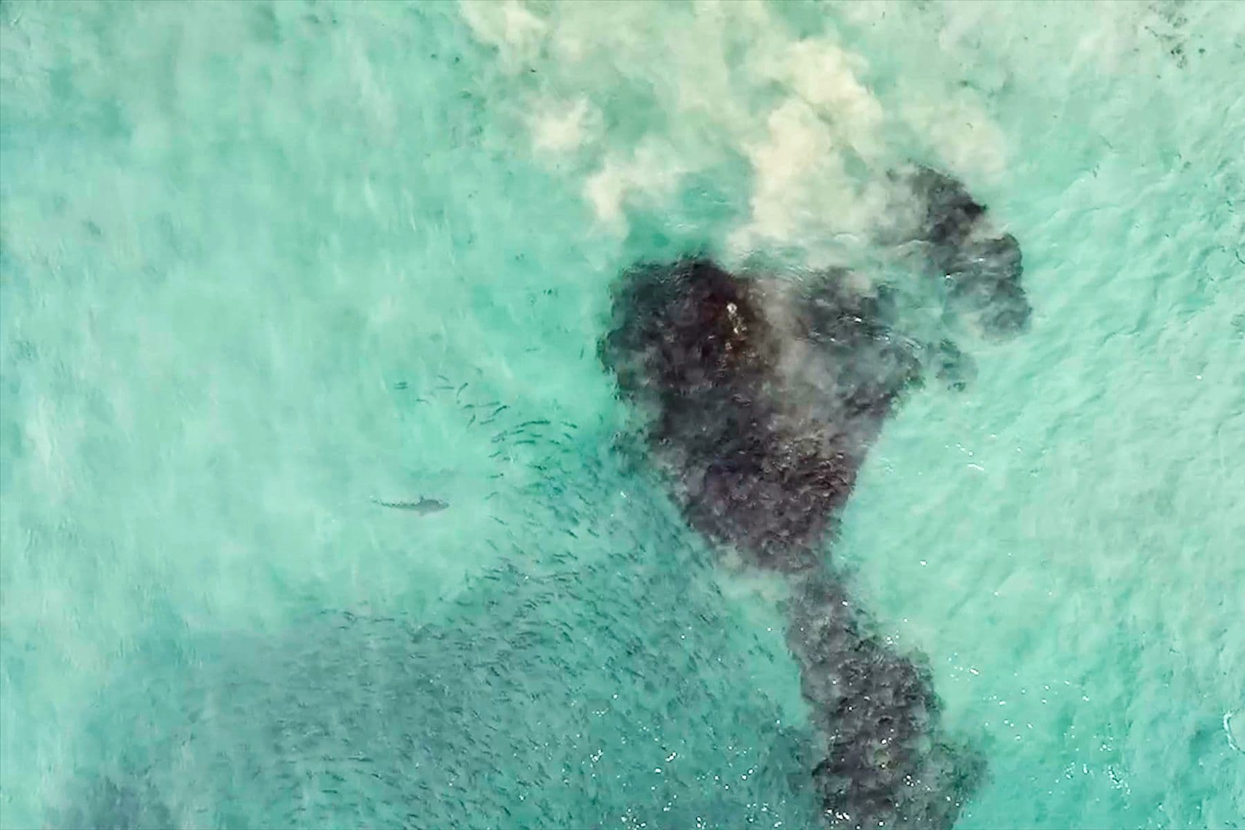 Surf Simply technical surf coaching resort, Guiones, Nosara, Costa Rica