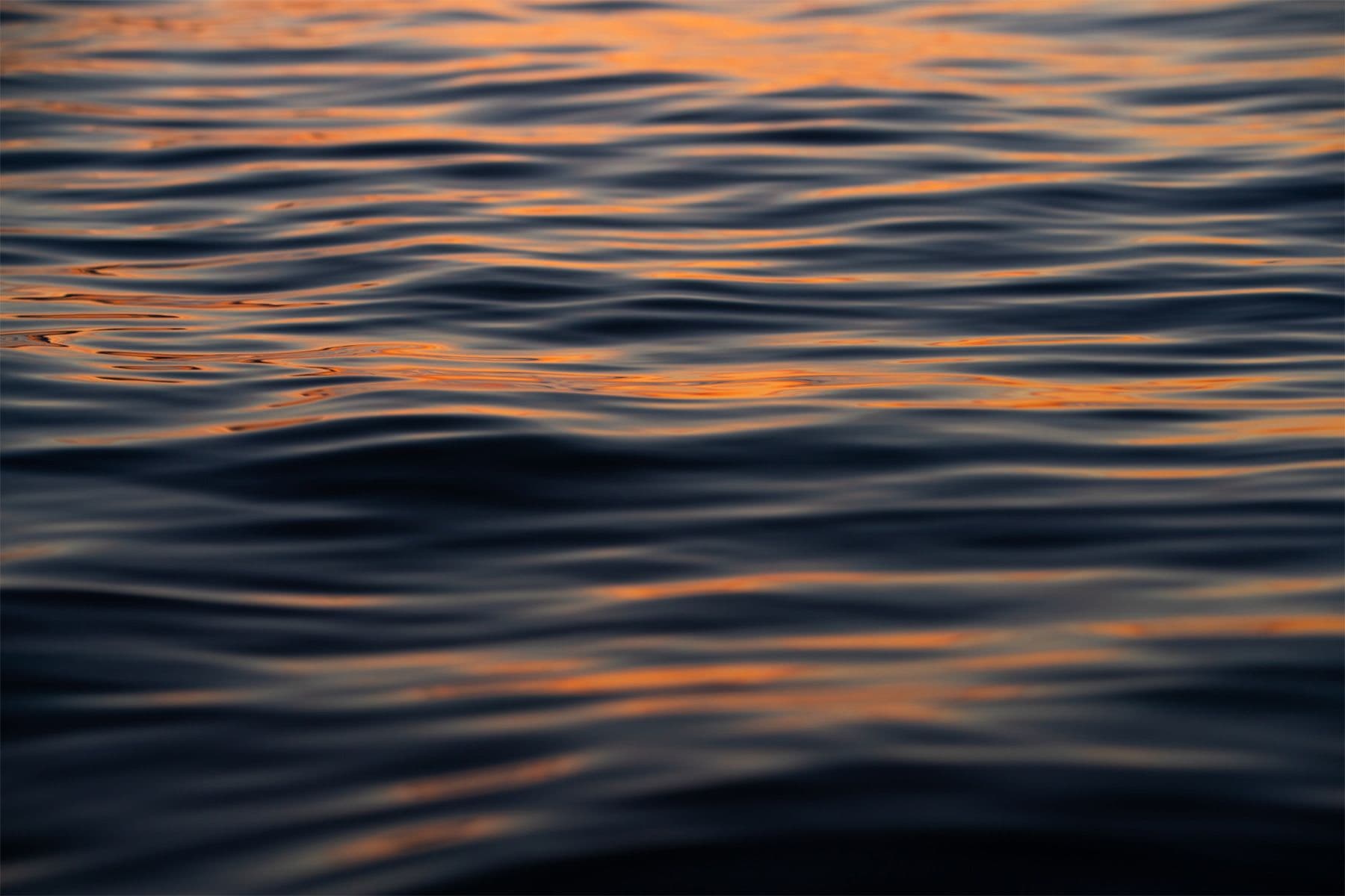 Surf Simply technical surf coaching resort, Guiones, Nosara, Costa Rica