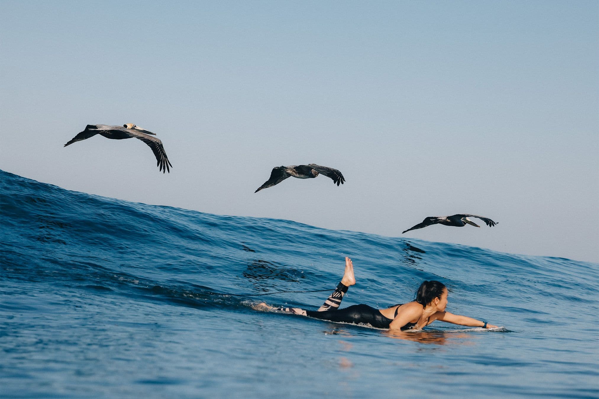 author bonnie tsui paddling to catch a wave as three pelicans fly past in costa rica
