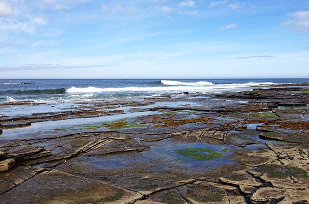 Surf Simply technical surf coaching resort, Guiones, Nosara, Costa Rica