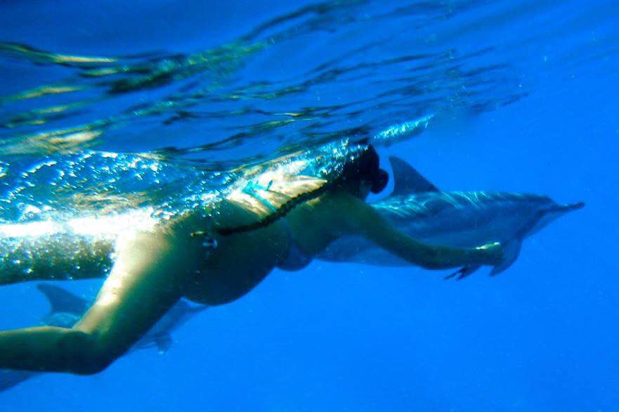 Trisha Cabral sings and produces fun island lullabies, mixing whale songs and melodic Hawaiian tunes. Click to have a listen.