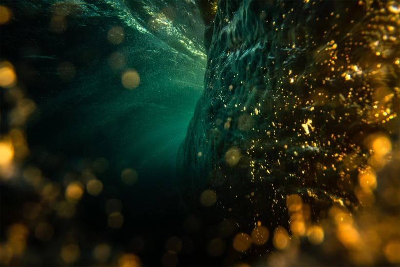 The Pursuit of Joy & Fun