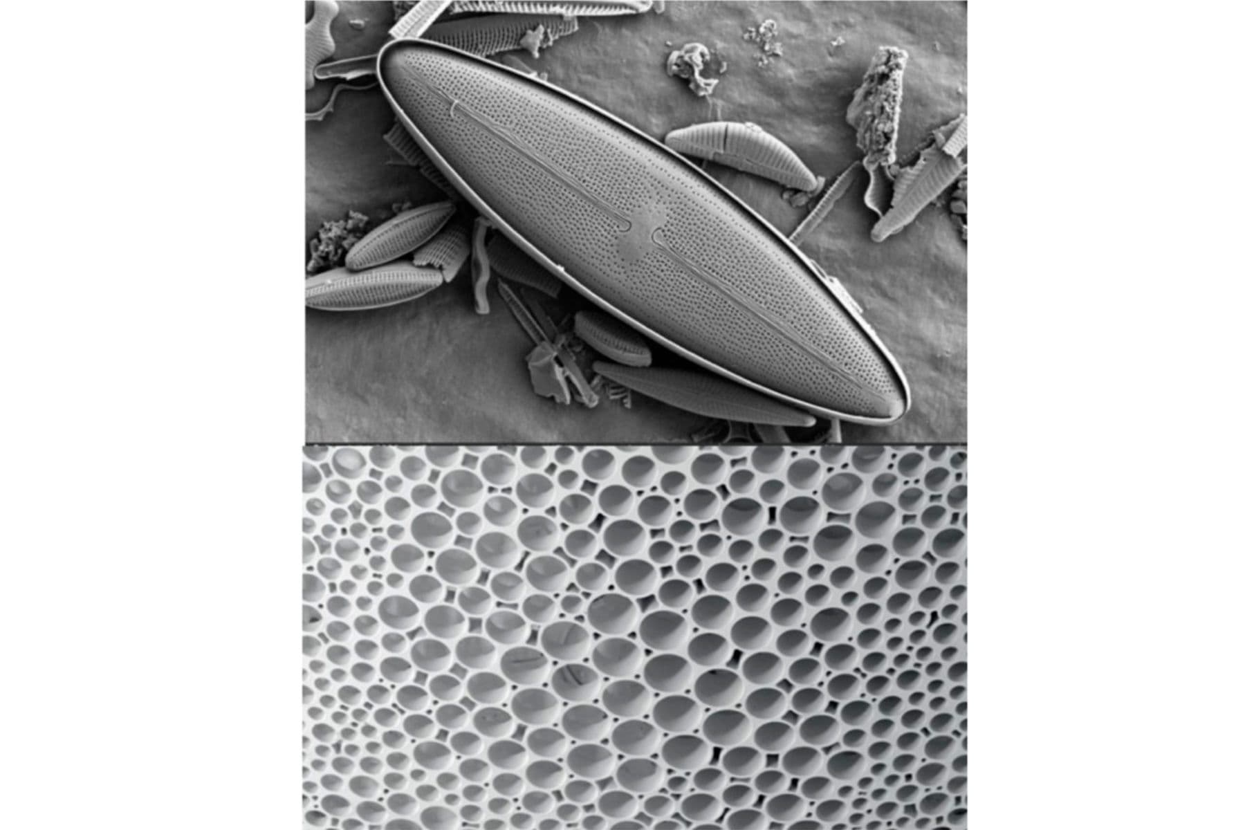 Surf Simply technical surf coaching resort, Guiones, Nosara, Costa Rica