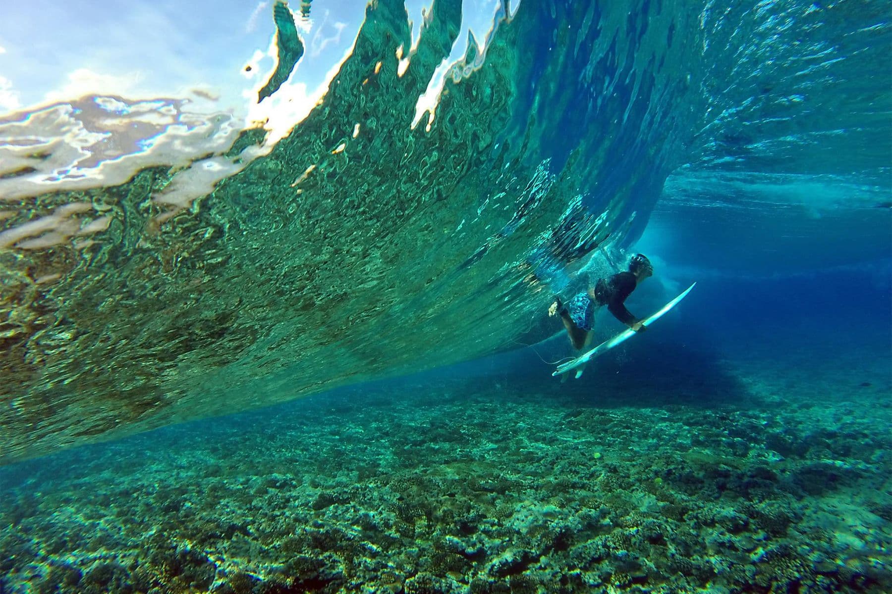 surfer duckciving a wave over coral reef in tahiti by nick stokes