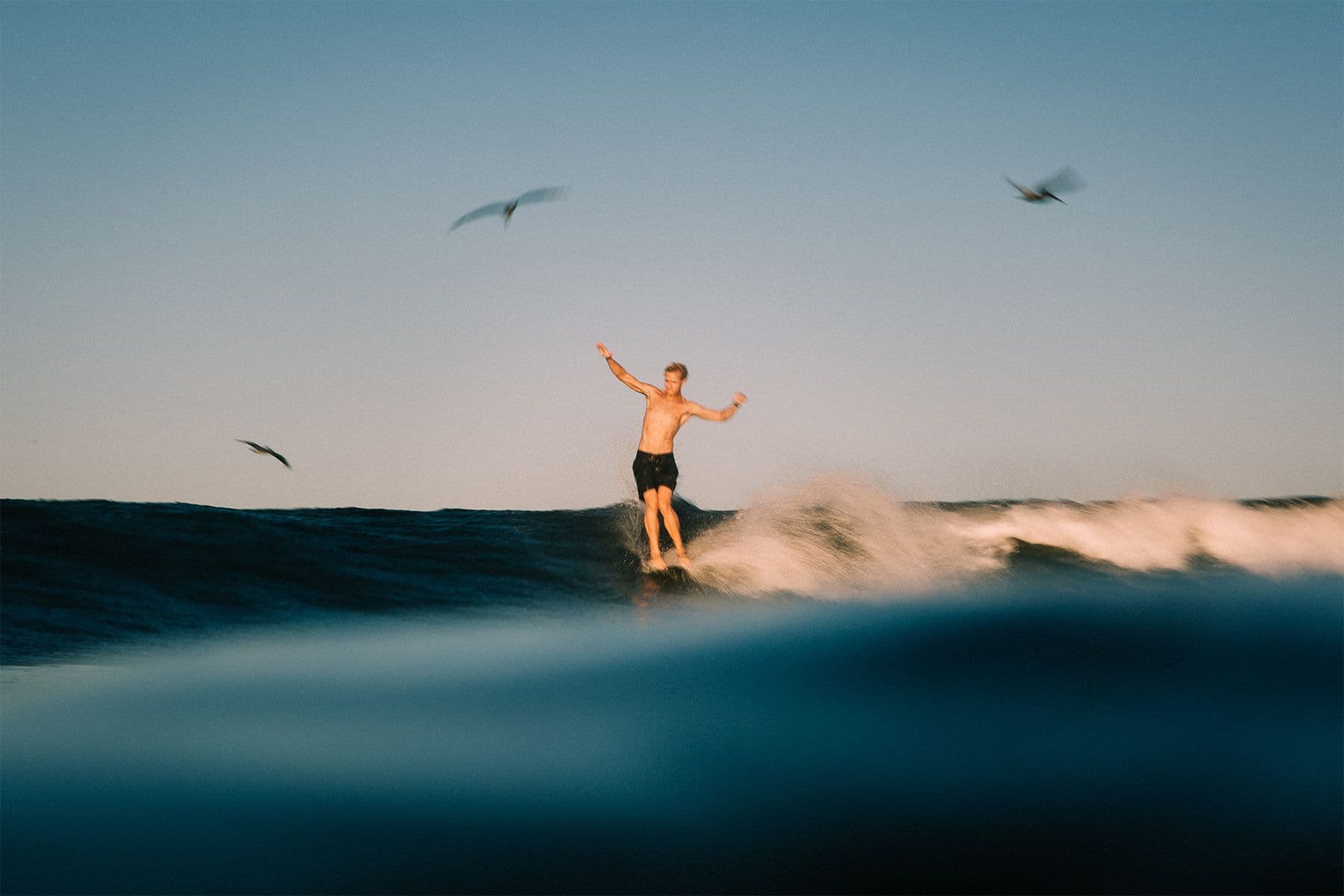 asher king locked in noseride on a longboard with pelicans flying behind, by saltshots