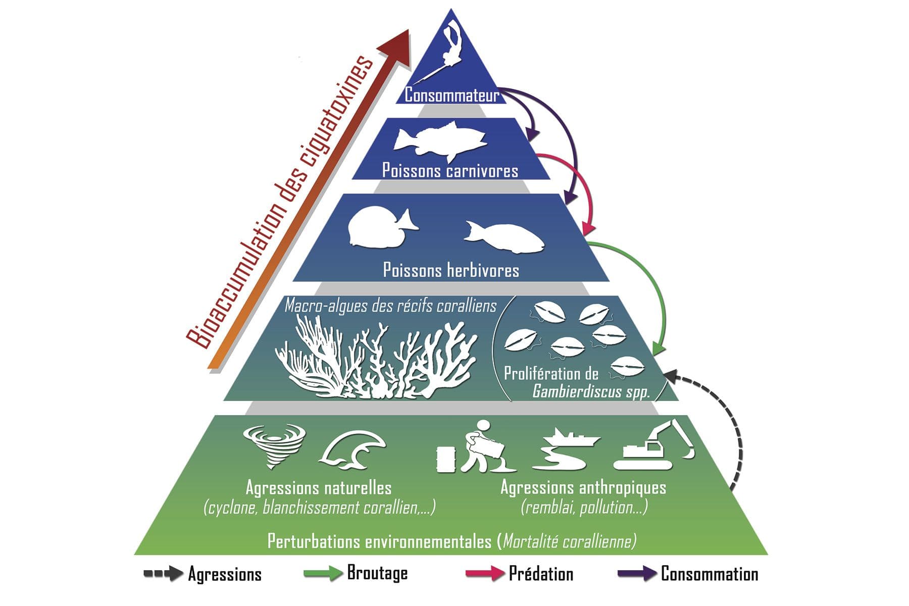 Surf Simply technical surf coaching resort, Guiones, Nosara, Costa Rica