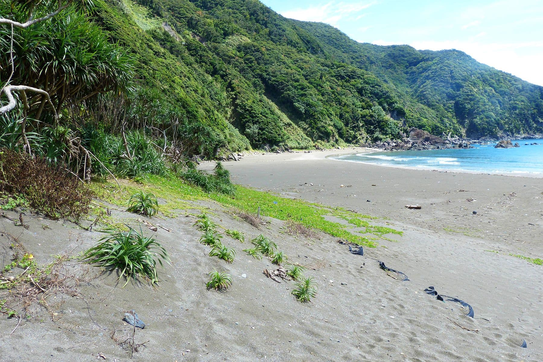 Surf Simply technical surf coaching resort, Guiones, Nosara, Costa Rica