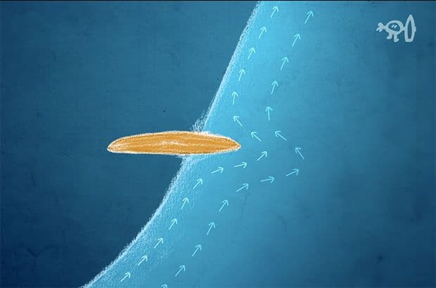 A cross-section view of Water wrapping around the rail of a board. This is what holds it on the face of a wave.