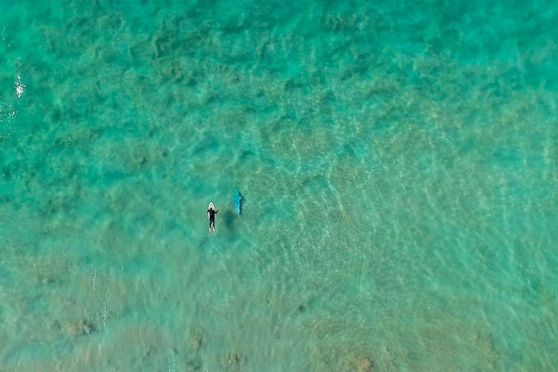 Surf Simply technical surf coaching resort, Guiones, Nosara, Costa Rica